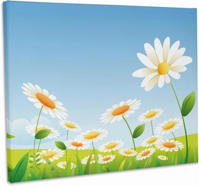 3dRose, Cute Field Of White and Yellow Daisies Design, Museum Grade Canvas Wrap 20x16
