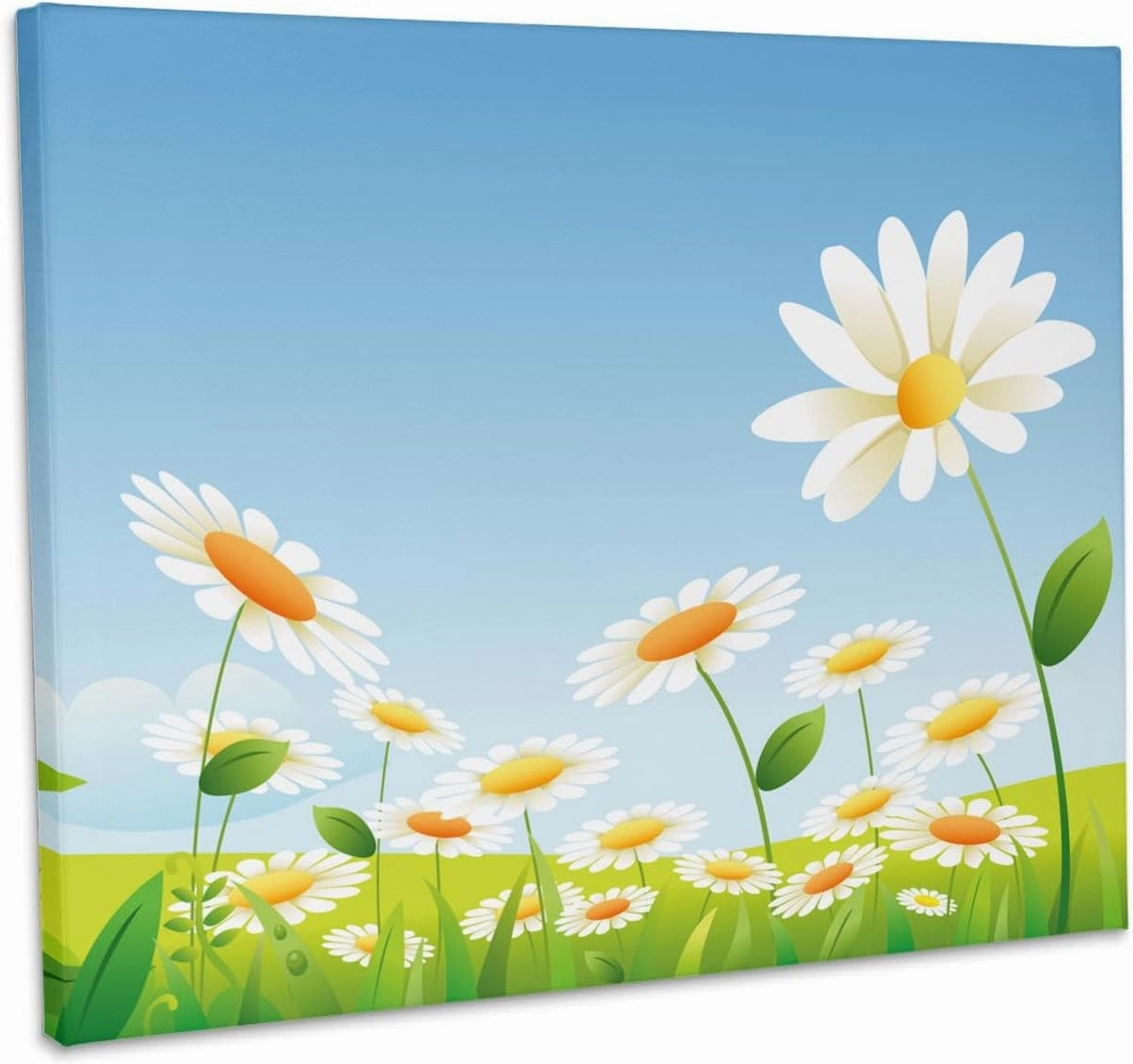 3dRose, Cute Field Of White and Yellow Daisies Design, Museum Grade Canvas Wrap 20x16