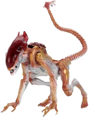 Aliens - 7" Scale Action Figure - Ultimate Kenner Tribute Panther Alien