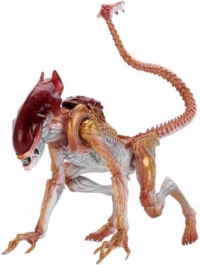 Aliens - 7" Scale Action Figure - Ultimate Kenner Tribute Panther Alien