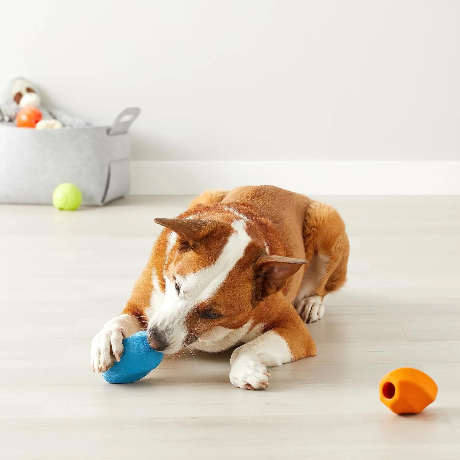 Amazon Basics Dog Treat Dispensing Enrichment Chew Toy, 2-Pack, Large, Multi color