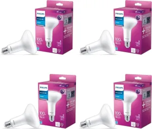 BR30 Globe Light Bulbs - 1400 Lumen - Flicker-Free Dimmable Light Bulb with EyeComfort Technology - Daylight (5000K) - E26 Base - 4 Pack Frosted Indoor Light Bulbs
