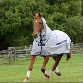 Buzz Off X Fly Sheet, FN - 81IN