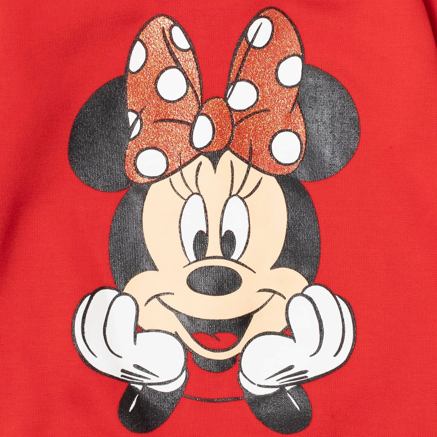 Disney Minnie Mouse Fleece Sweatshirt and Pants Outfit Set Newborn to Big Kid Sizes (Newborn - 14-16)