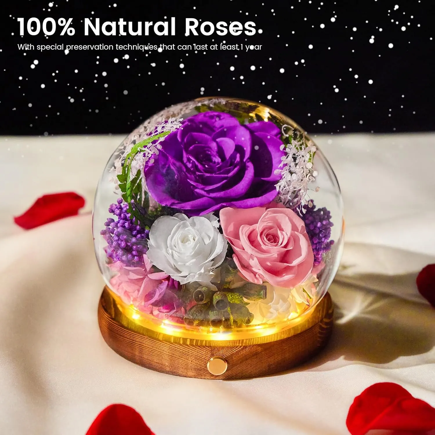 Flower Globe with Preserved Flowers, Eternal Rose in Glass, Long-Lasting Real Flowers, Floral Gift for Mom, Grandma, Wife, Sister, Friend Birthday Mothers Day, Purple