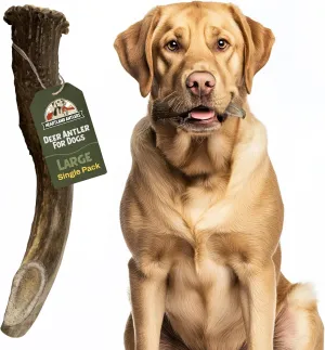 Heartland Deer Antlers for Dogs (Large, 6–8", 1-Pack) – Grade A, Naturally Shed | Long-Lasting, Odor-Free Chew Toy for Aggressive Chewers & Puppies | Splinter-Free | USA Made & Veteran Owned