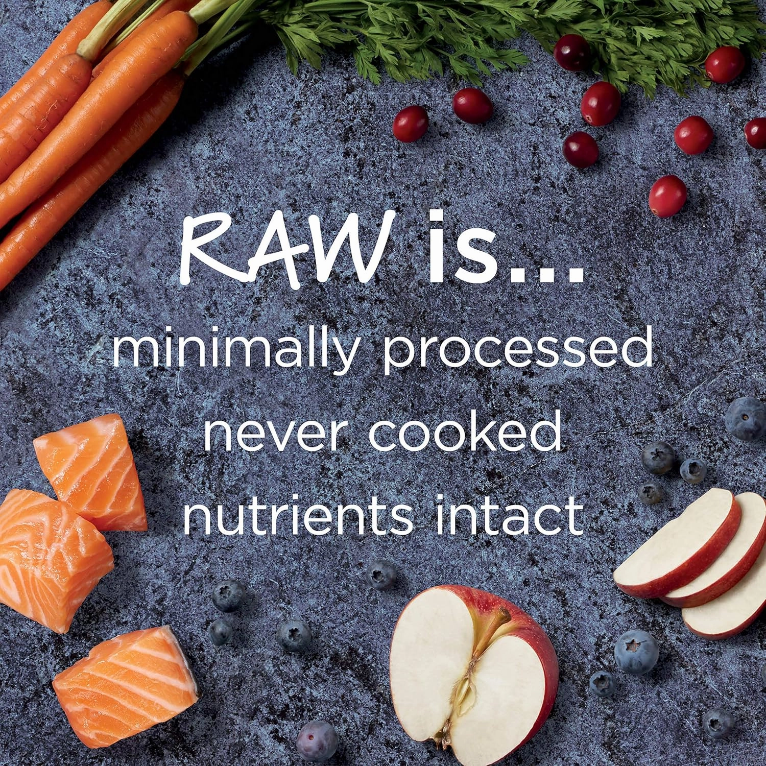 Instinct Raw Boost, Natural Dry Dog Food with Freeze Dried Pieces, High Protein, Grain Free Recipe - Real Salmon, 4 lb. Bag