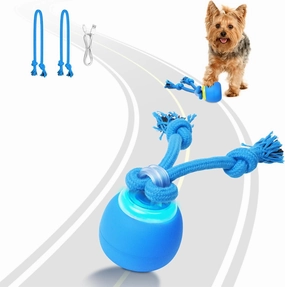 Interactive Dog Toys, Moving Dog Ball with Touch Activated, Active Rolling Ball for Puppy and Medium Dogs, Squeaky, USB Rechargeable