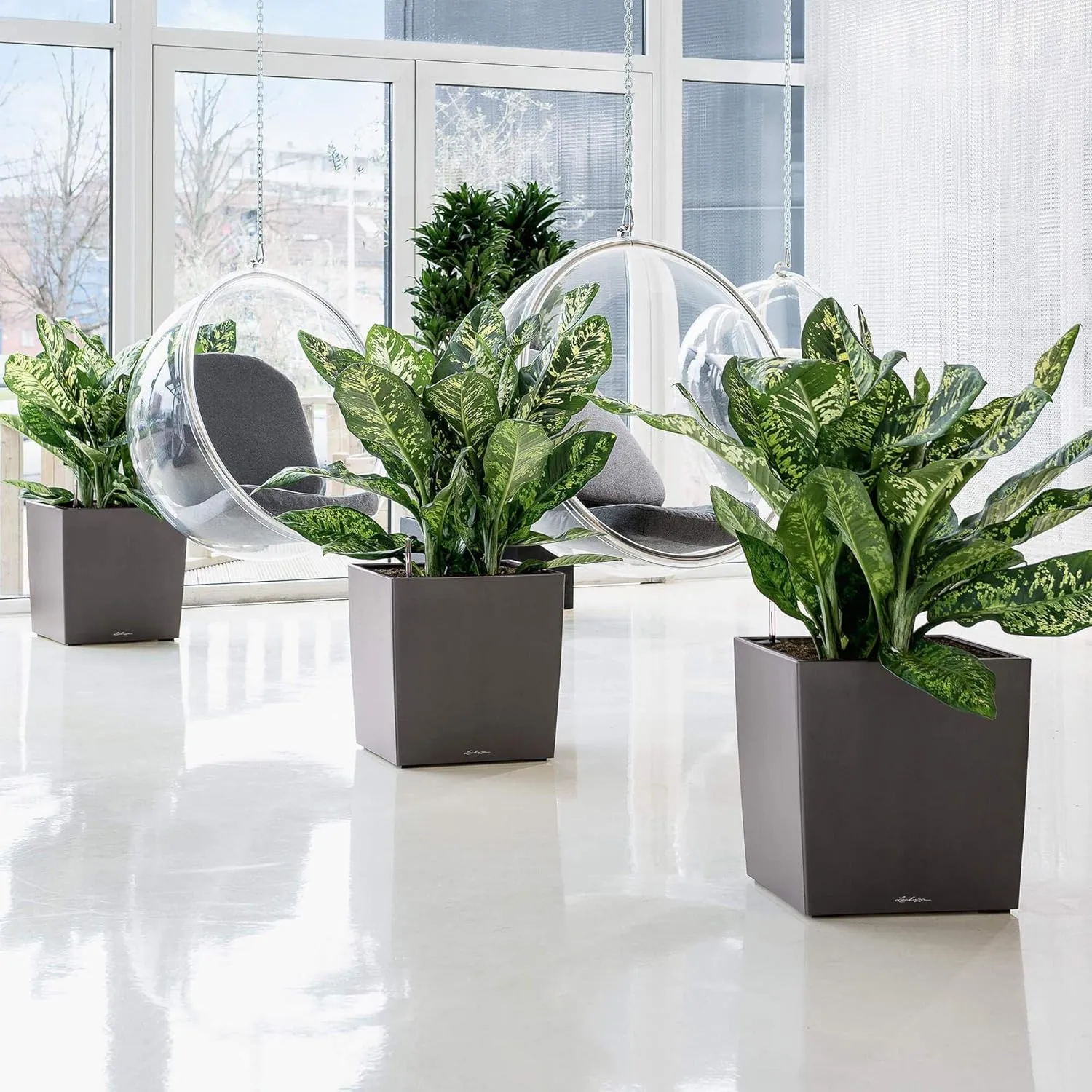 Lechuza Cube 50 Large Flower Indoor/Outdoor Garden Floor Self-Watering Planter with Drainage Hole with Plant Substrate Contemporary Poly-Resin H50 L50 W50 cm Shiny Taupe 13 Kg