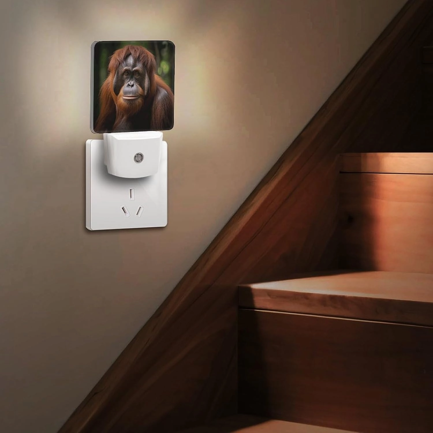 LED Energy Saving Plug in Night LightsOrangutan Taking Photo Printed with Auto Dusk to Dawn Sensor for Bathroom, Hallway, Bedroom, Living Room