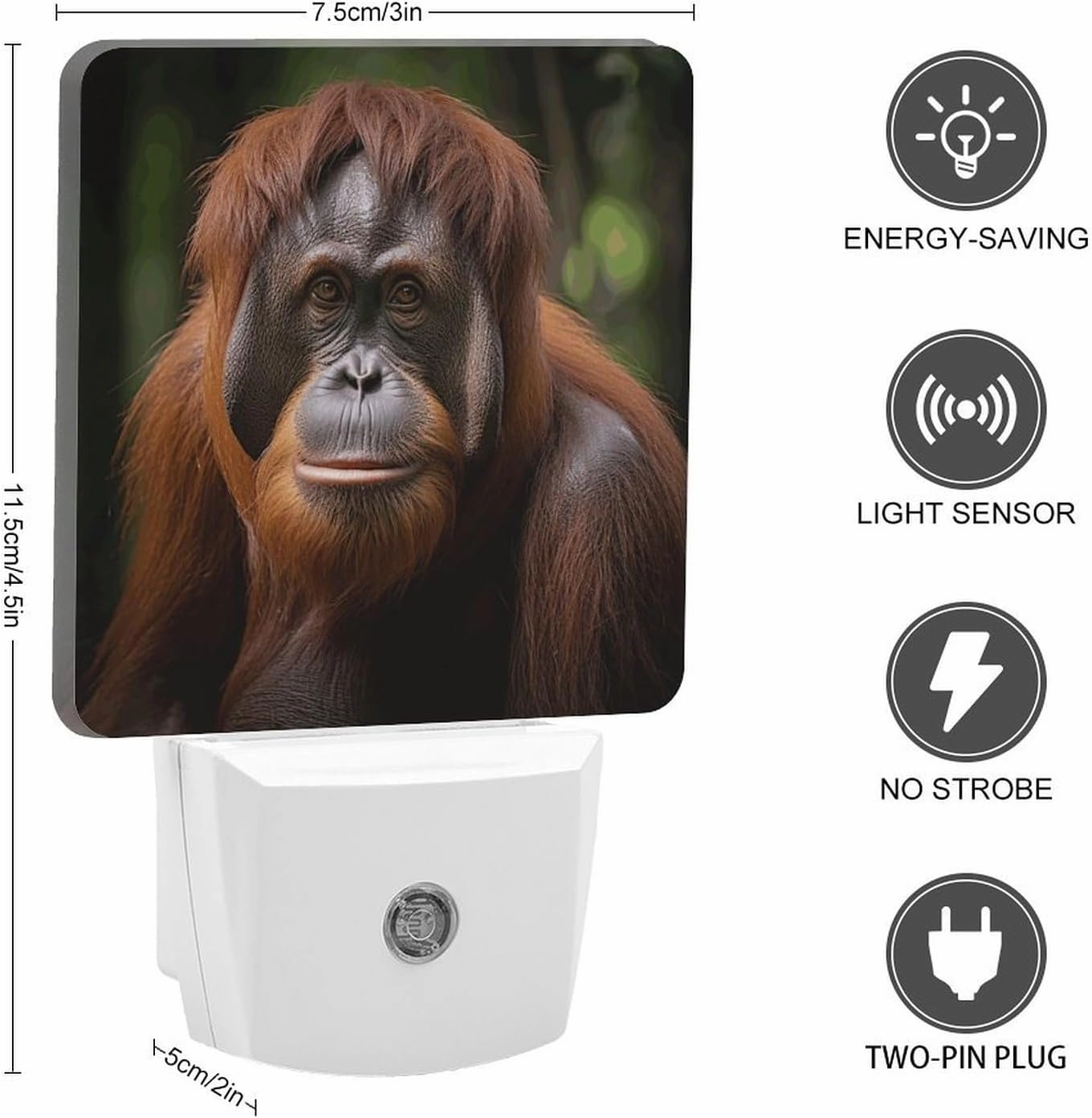 LED Energy Saving Plug in Night LightsOrangutan Taking Photo Printed with Auto Dusk to Dawn Sensor for Bathroom, Hallway, Bedroom, Living Room