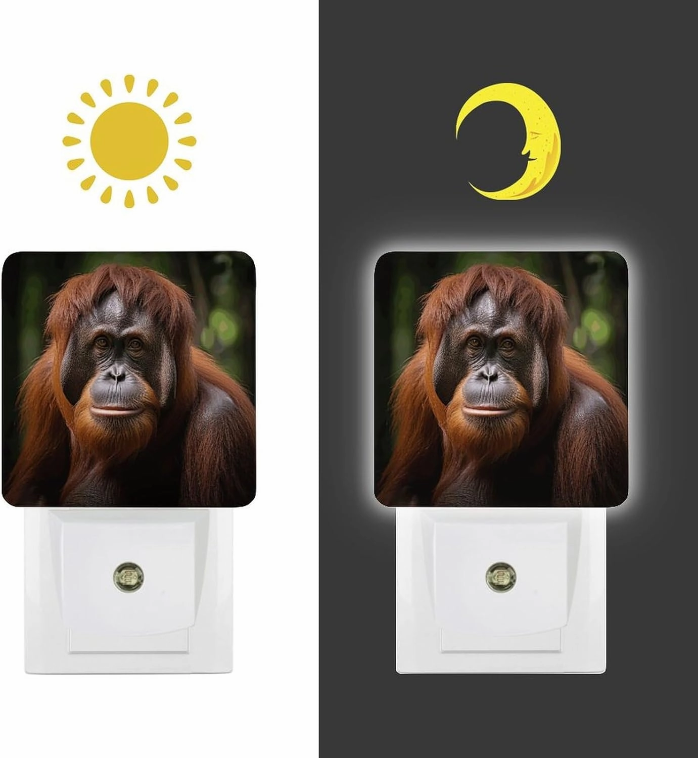 LED Energy Saving Plug in Night LightsOrangutan Taking Photo Printed with Auto Dusk to Dawn Sensor for Bathroom, Hallway, Bedroom, Living Room