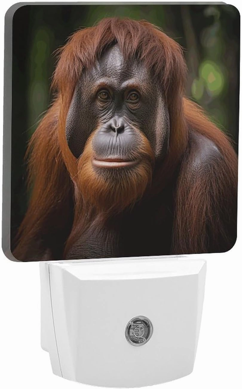 LED Energy Saving Plug in Night LightsOrangutan Taking Photo Printed with Auto Dusk to Dawn Sensor for Bathroom, Hallway, Bedroom, Living Room