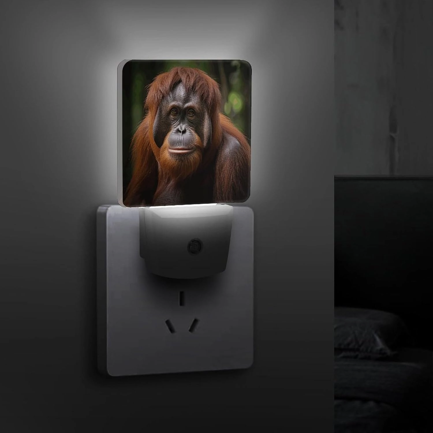LED Energy Saving Plug in Night LightsOrangutan Taking Photo Printed with Auto Dusk to Dawn Sensor for Bathroom, Hallway, Bedroom, Living Room