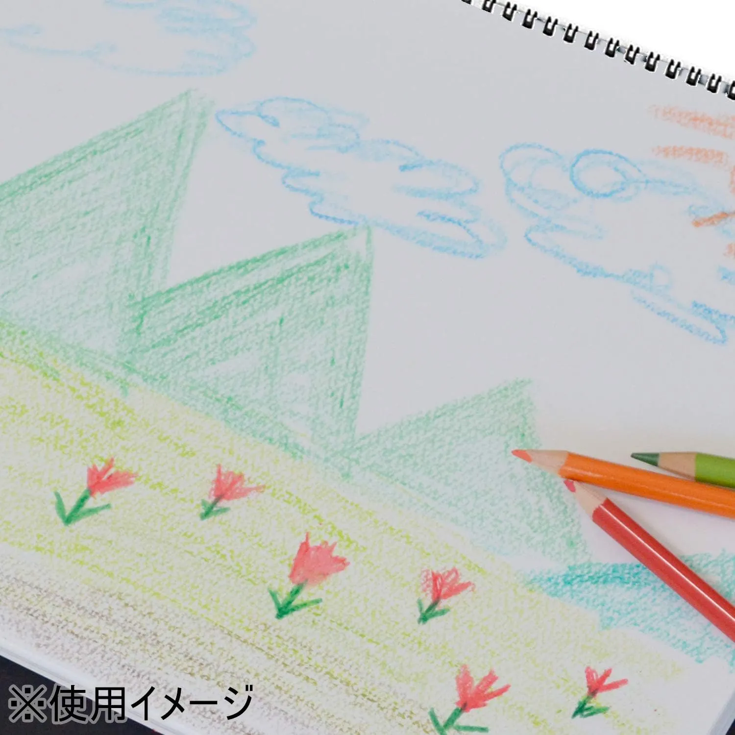 Maruman S110 Sketchbook, B3 Design Series, Drawing Paper, Normal Port, 20 Sheets