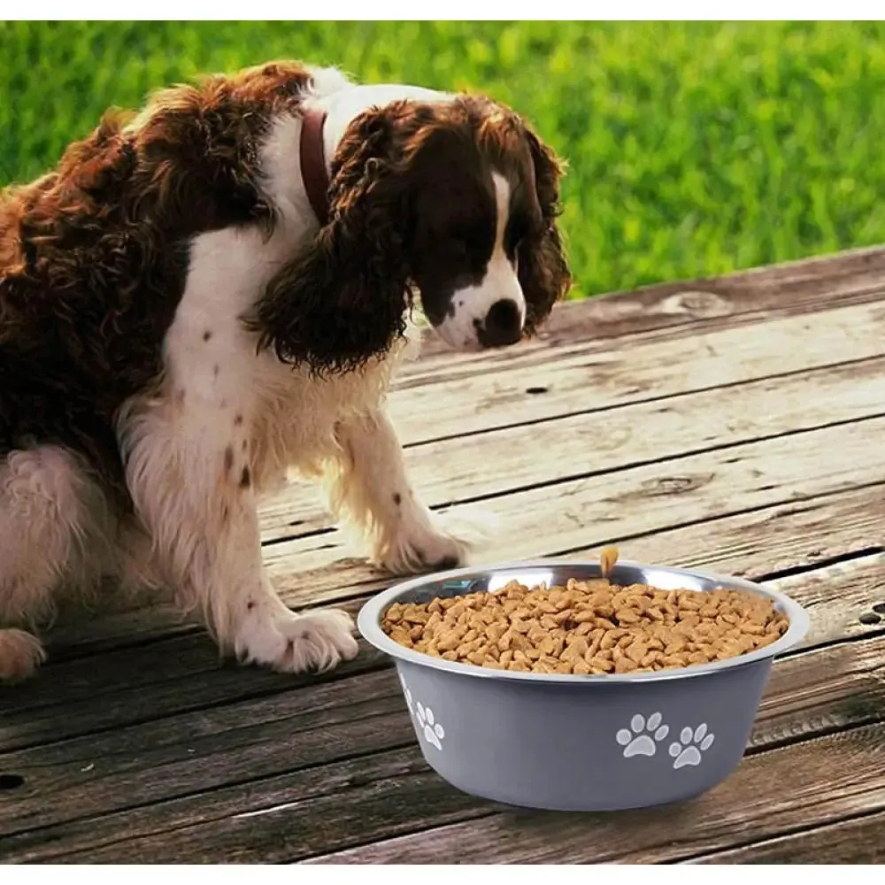 Non-slip Durable Rubber Bottom Food Water Pet Bowl for Small Medium Large Dogs