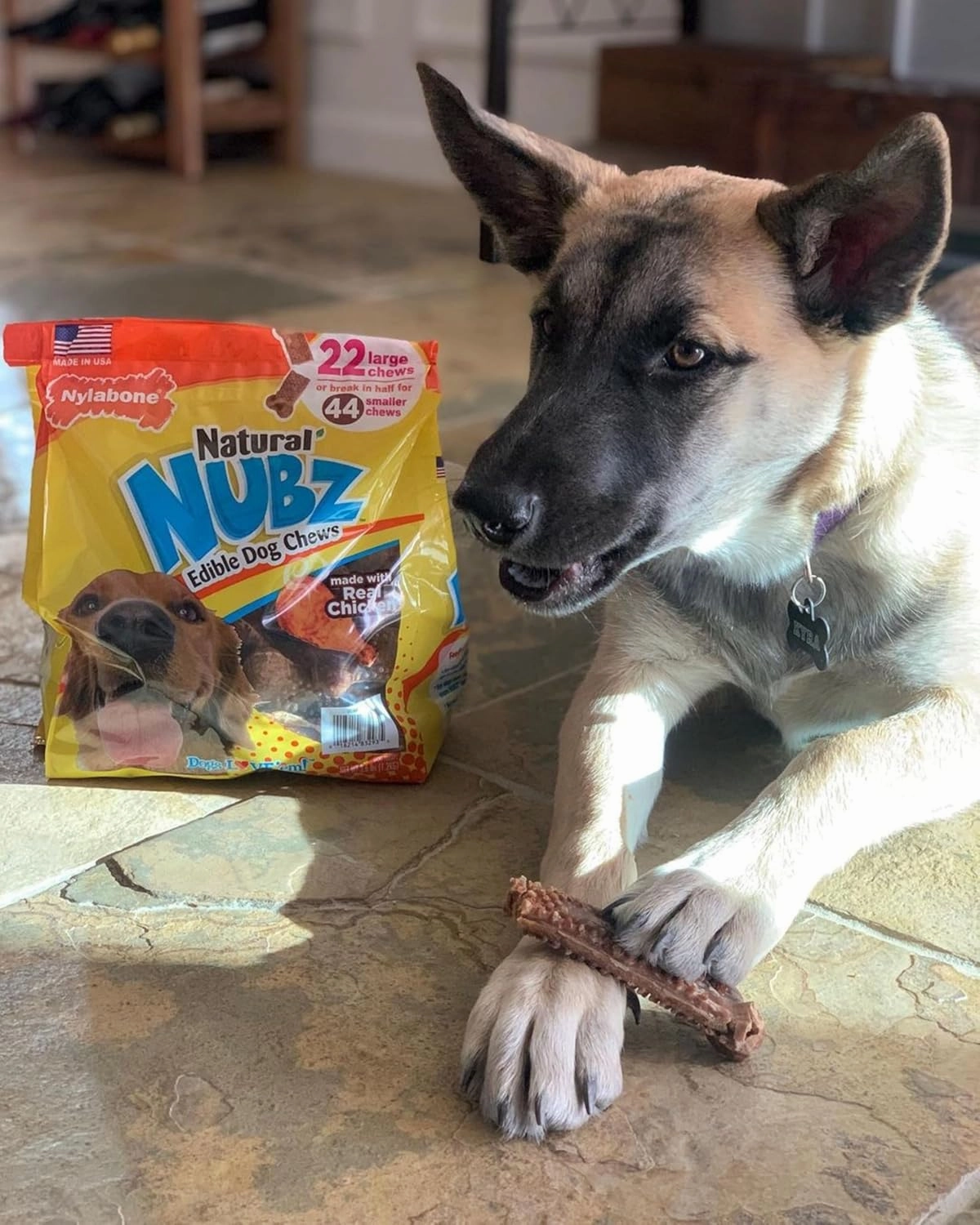 Nylabone Nubz Natural Edible Dog Chew Treats for Large Dogs, Long Lasting Dog Bones Made in USA, Chicken Flavor Dental Chews, For Dogs Up to 50 lbs. (18 Count)