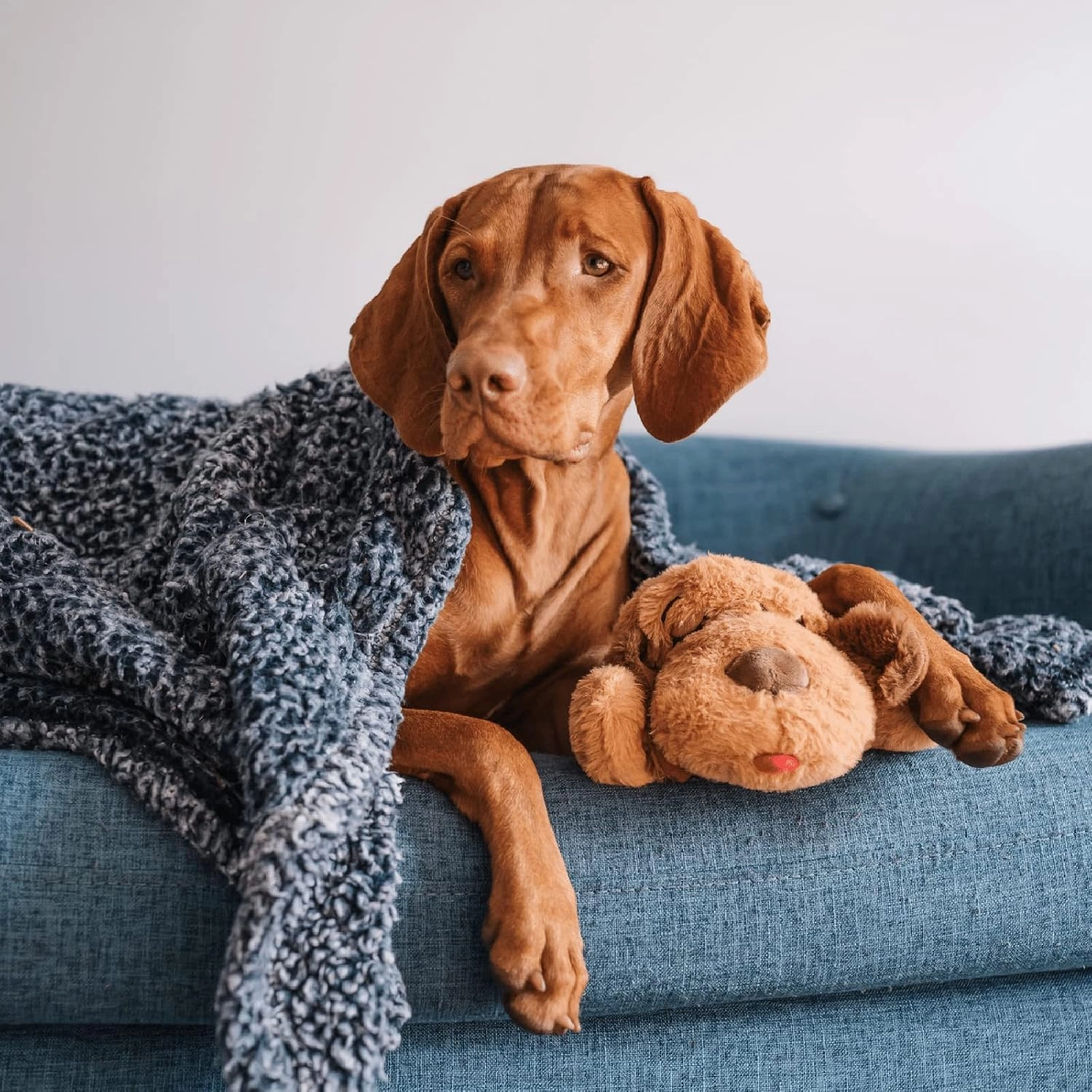 Original Snuggle Puppy Toys - Heartbeat Puppy for Dogs - Pet Anxiety Relief and Calming Aid - Comfort Dog Toys for Behavioral Training in Biscuit