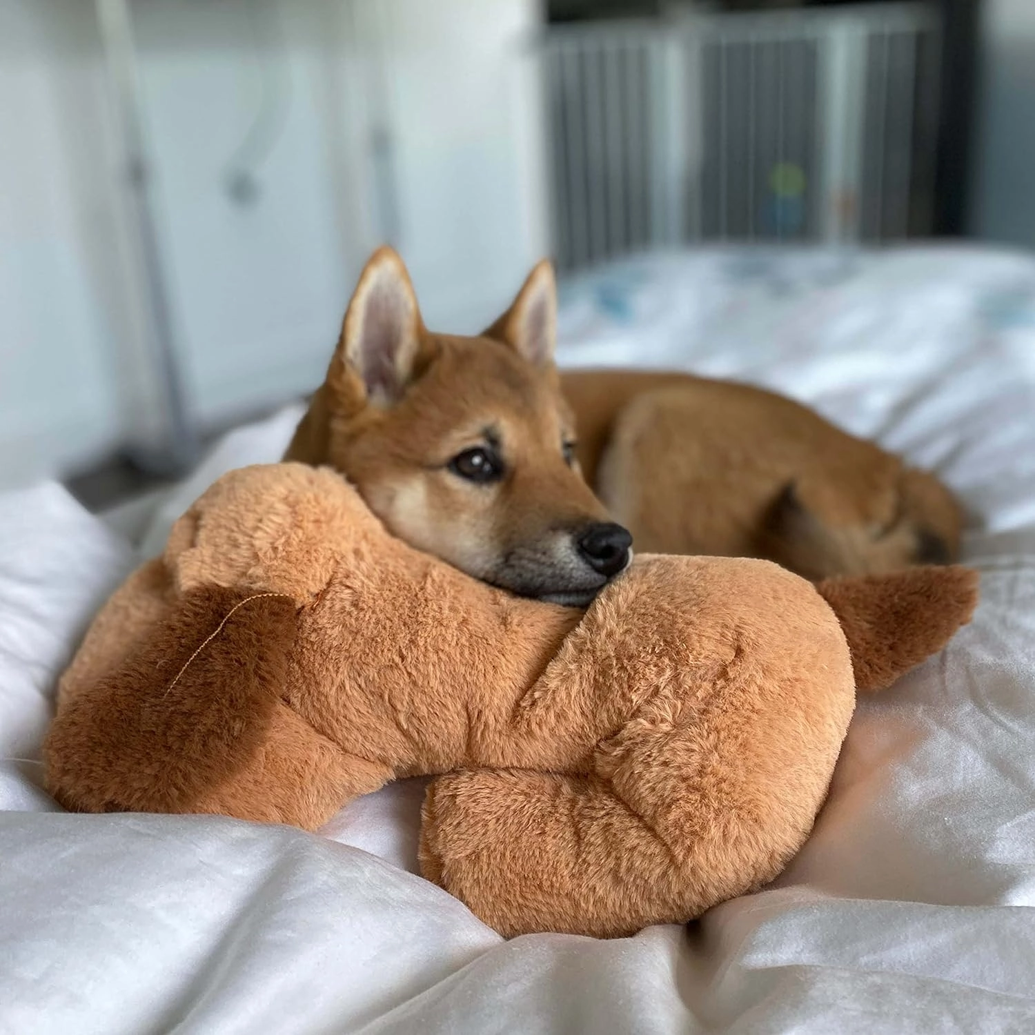 Original Snuggle Puppy Toys - Heartbeat Puppy for Dogs - Pet Anxiety Relief and Calming Aid - Comfort Dog Toys for Behavioral Training in Biscuit