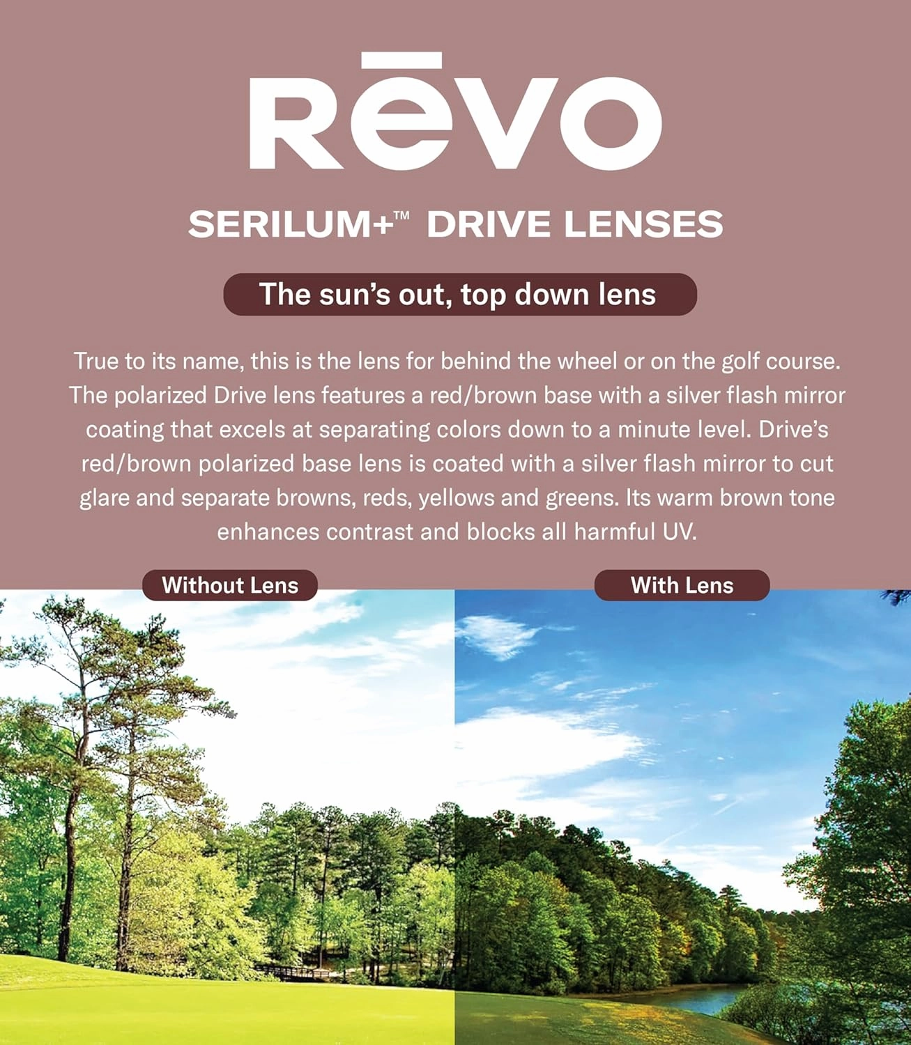Revo Sunglasses Eva: Polarized Lens with Cat Eye Frame with Stainless Steel Detailing