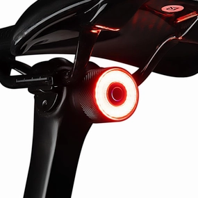 ROCKBROS Smart Bike Tail Light Brake Sensing Bicycle Rear Lights for Night Riding with IPX6 Waterproof, Type C USB Rechargeable