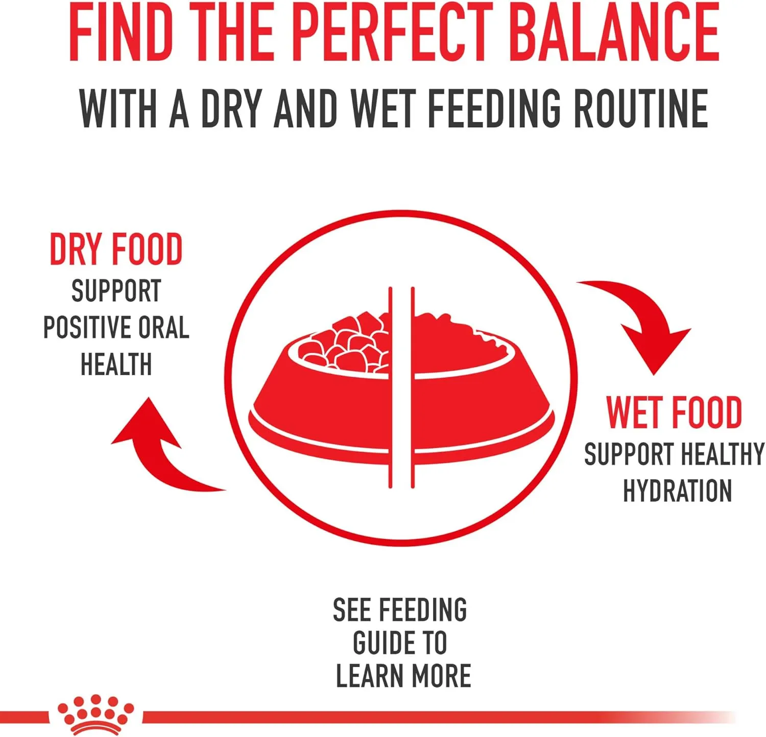 Royal Canin Maine Coon Breed Adult Dry Cat Food, 14 lb bag