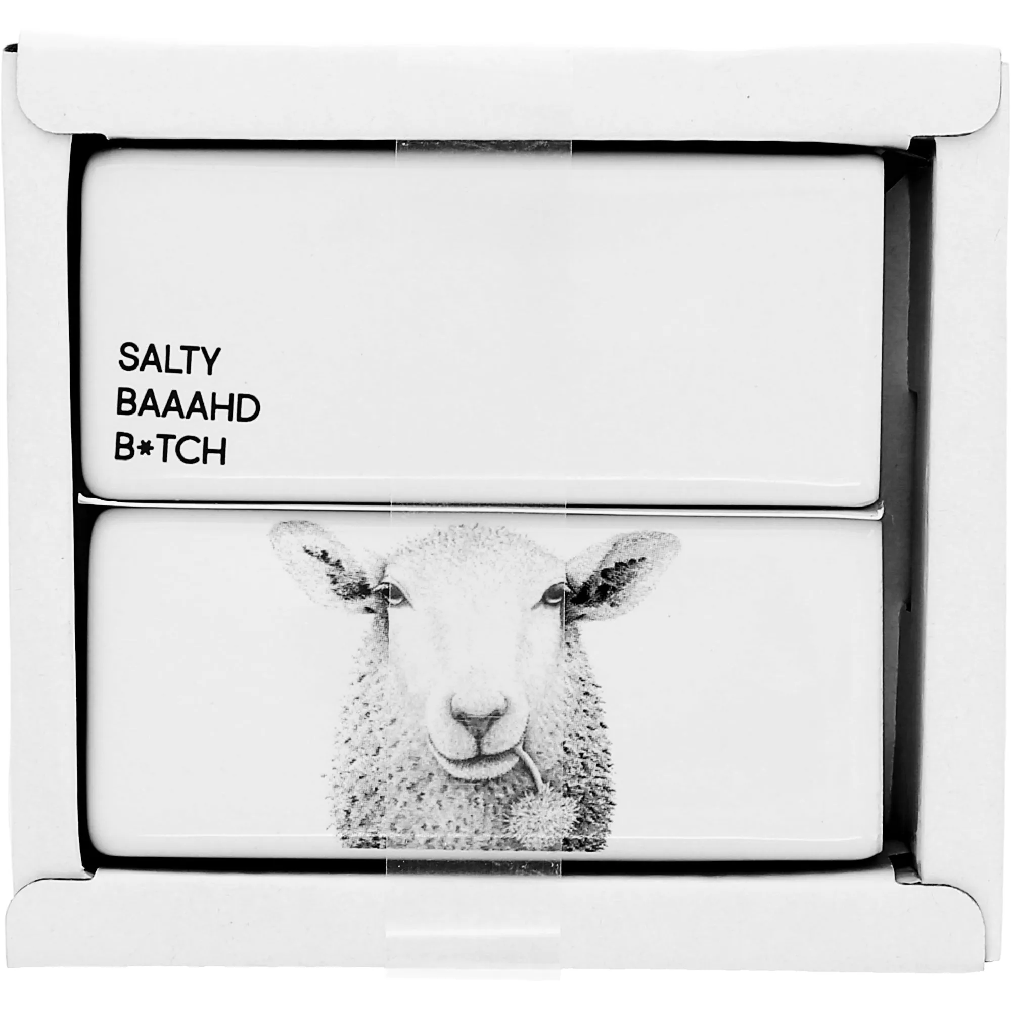 Salty Salt & Pepper Shaker Set