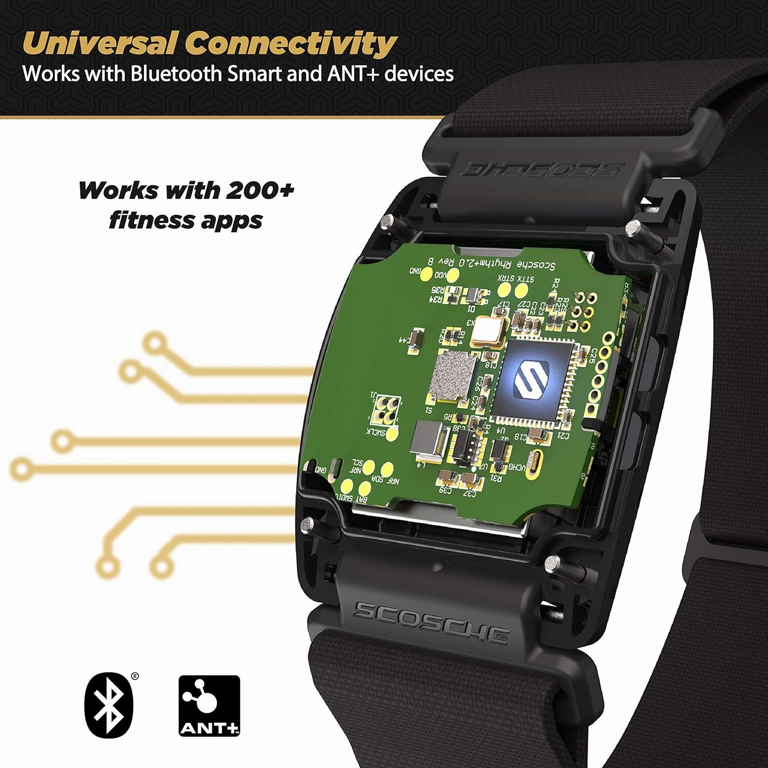 Scosche Rhythm R 2.0: Waterproof/Dustproof Armband with ANT  & BLE Bluetooth Smart for Hyper Accurate Workout Heart Rate Monitoring with Wahoo, Peloton, LED Monitor, DDP Yoga, Strava