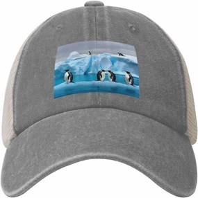Snapback Trucker Hats Penguins On The Iceberg Cowboy Baseball Caps Adjustable Blank Mesh Ball Caps for Men Women