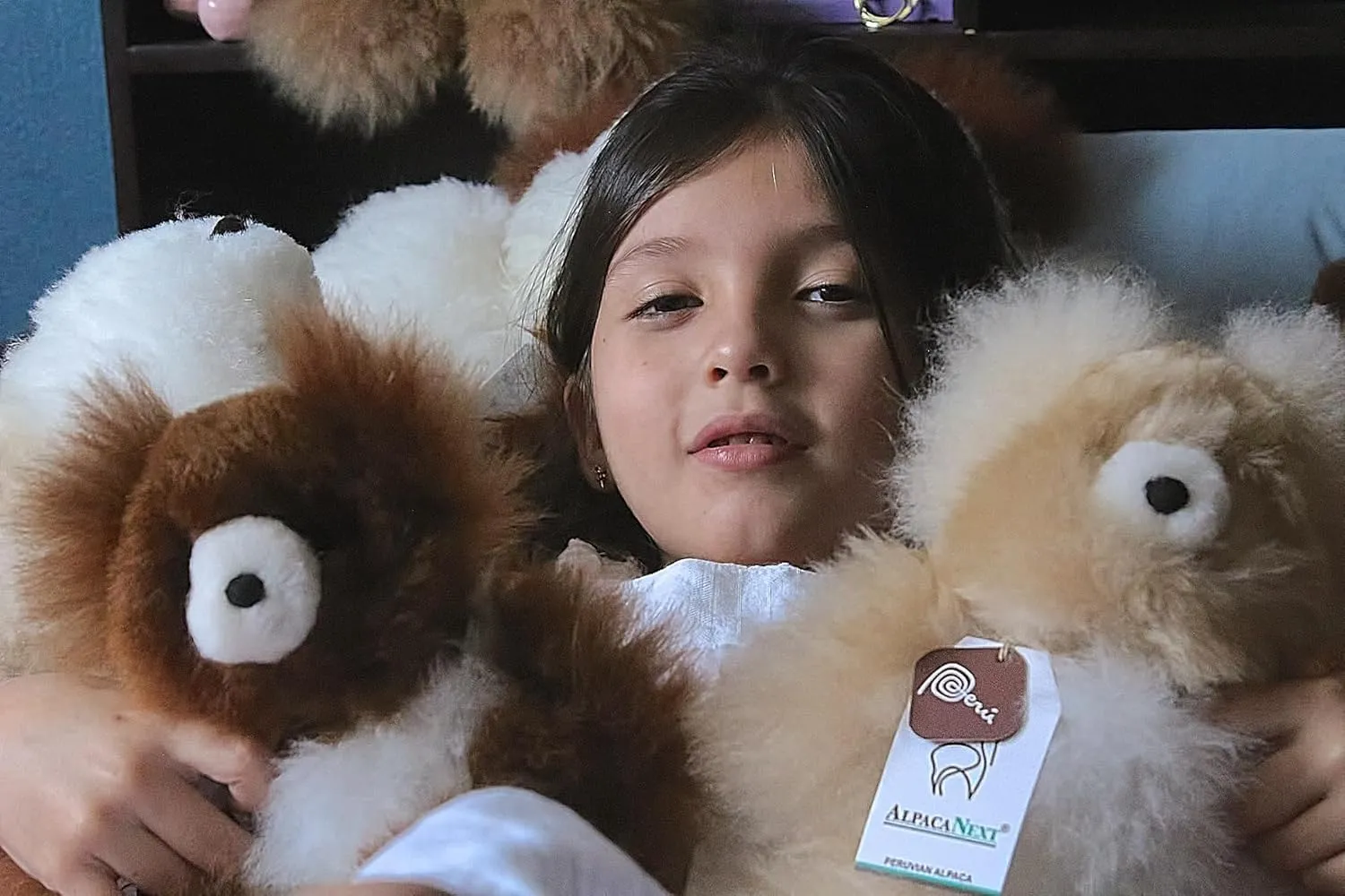 Soft and Cuddly Baby Alpaca Teddy Bears - 9 inch. Premium Alpaca Stuffed Animal Handmade on Genuine Alpaka Fur. Cute Bear (9 inches, Brown & White)