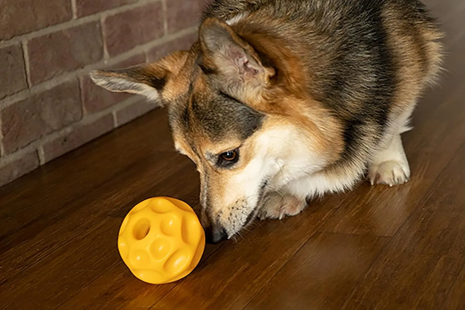 Starmark Treat Dispensing Tetraflex Dog Toy Medium
