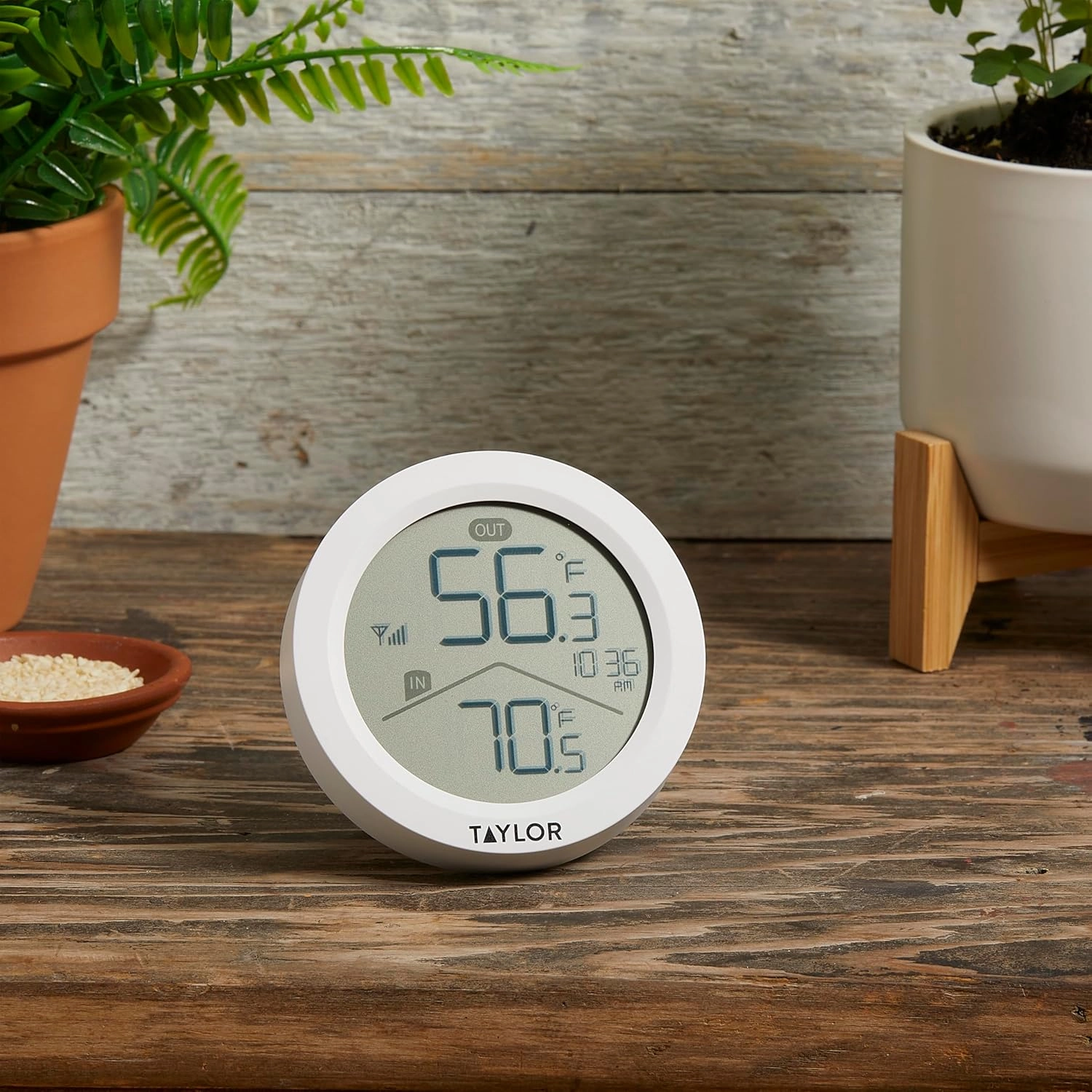 Taylor Digital Wireless Round Indoor Comfort Level Thermometer and Clock, Wireless Remote Sensor, Easy-to-Read Display for Home, Office, Greenhouse, Nursery, and Indoor Areas, LCD, White