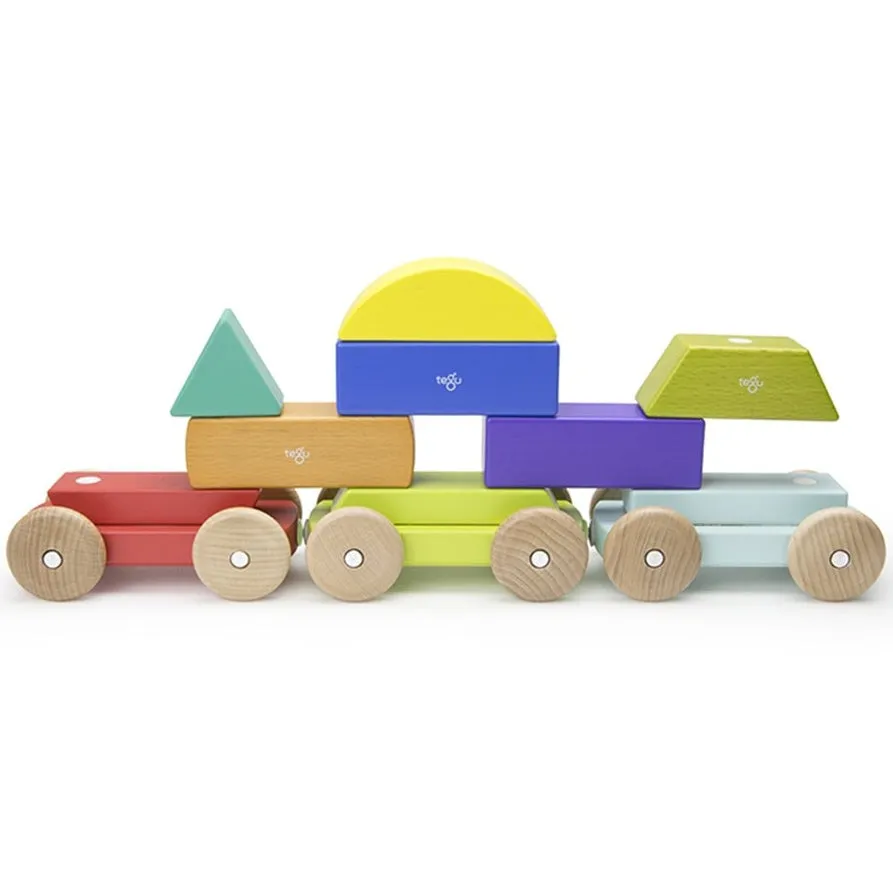 Tegu Magnetic Shape Train - Rainbow