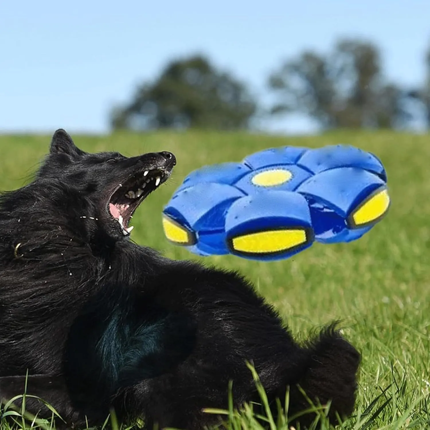 The Doggy Disc Ball for Large Dogs|Small Dogs|Medium Dogs, 2024 New Doggie Disc Ball for Large|Small Dogs, Dog Disc Ball, Flying Saucer Ball Dog Toy for Rolling Fun (Blue, Three Lights)