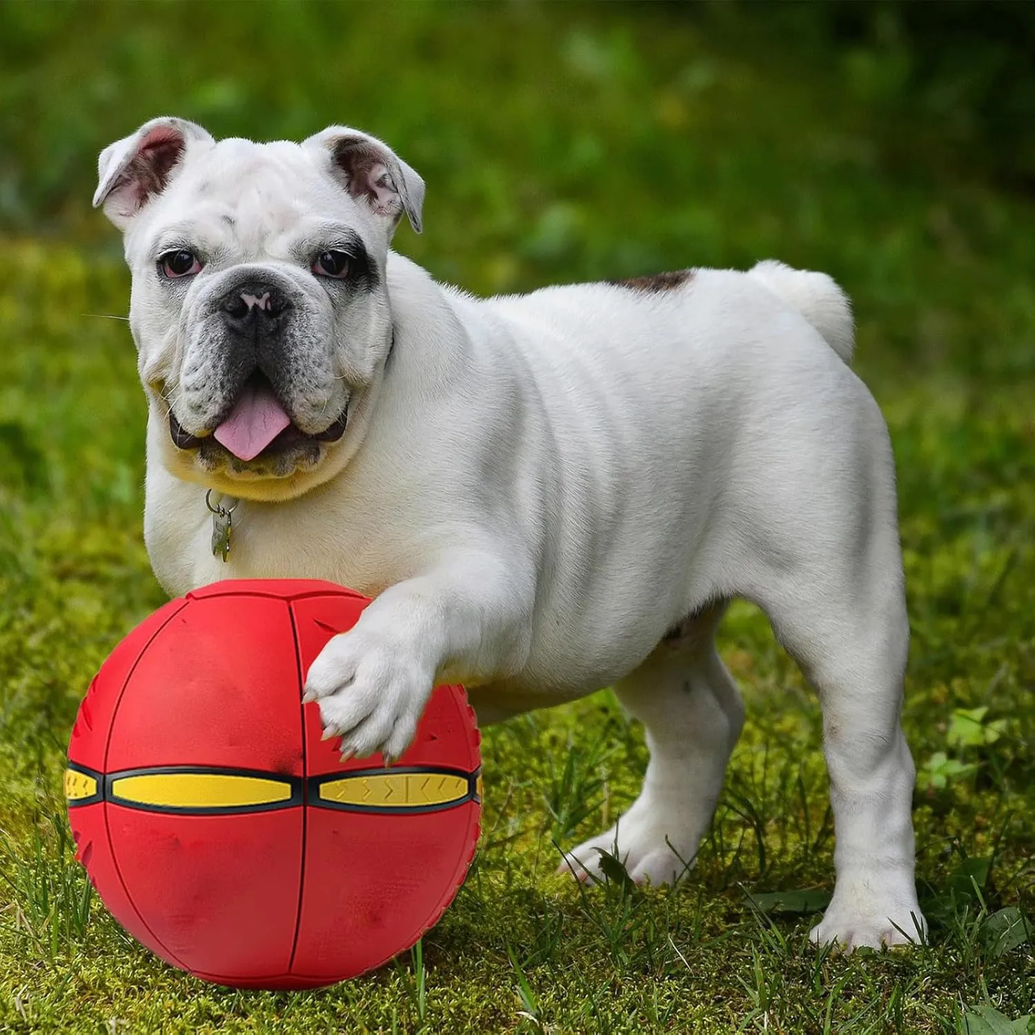 The Doggy Disc Ball for Large Dogs|Small Dogs|Medium Dogs, 2024 New Doggie Disc Ball for Large|Small Dogs, Dog Disc Ball, Flying Saucer Ball Dog Toy for Rolling Fun (Blue, Three Lights)