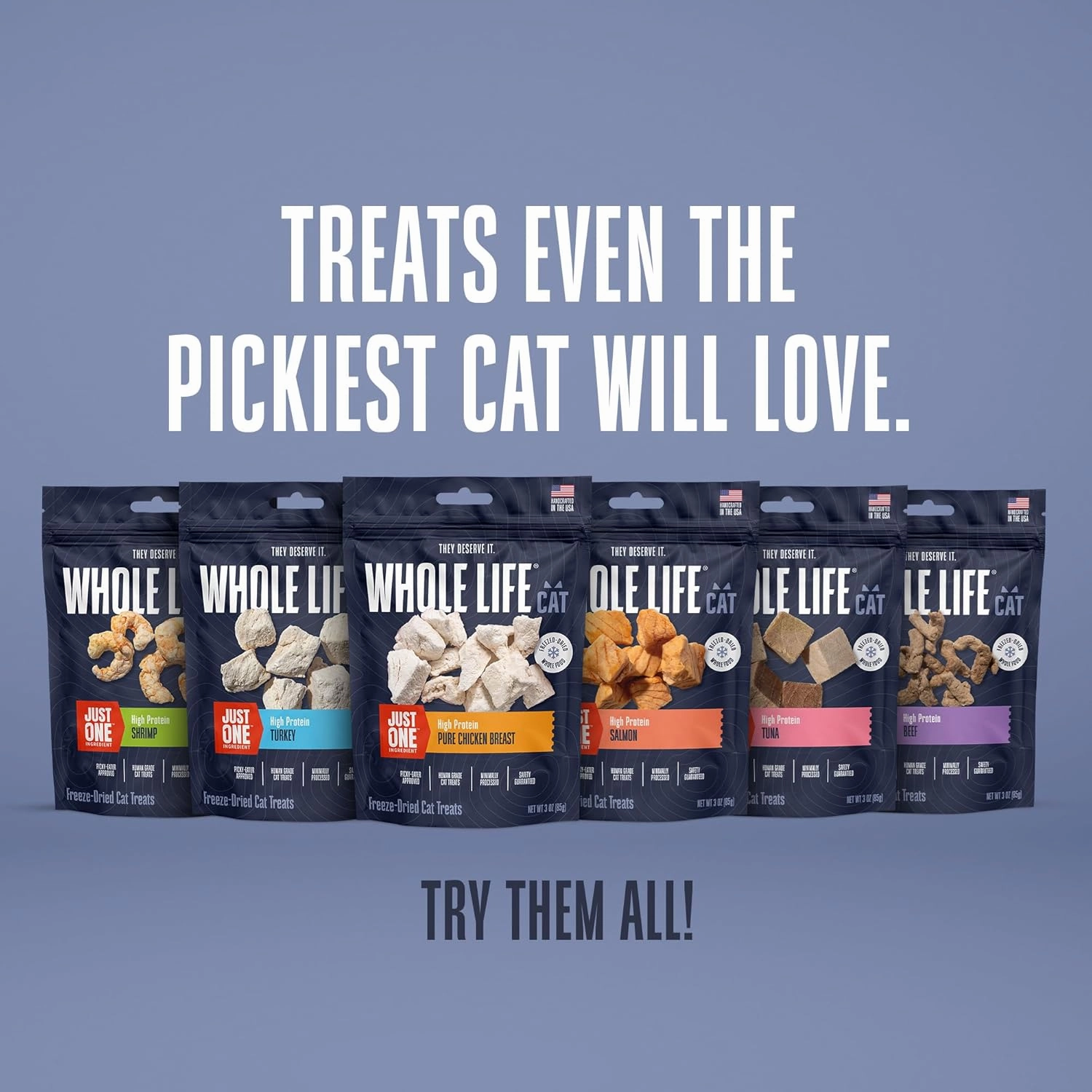 Whole Life Cat Just One Salmon Freeze Dried Cat Treats - Human Grade High Protein Food, Healthy Training Snacks, Freeze Dried Salmon Food Toppers, USA Made Natural Treats - 7.5 oz (Pack of 1)