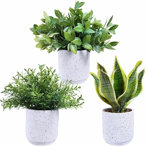 Winlyn 3 Pack Small Potted Artificial Plants Faux Rosemary Boxwood Snake Plants in White Cement Planters Decorative Plants 8.3"-9.3" Tall for Home Office Desk Bathroom Shelf Tabletop Greenery Décor
