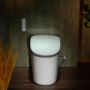 WOODBRIDGE Smart Bidet Toilet with Auto Open/Close,1000 Gram MaP Flush Score,Foam Shield,Foot Sensor,Auto Flush,ADA Chair Height,Blackout Flush,Heated Seat, One Piece Toilet with Tank Build in ,EBT350