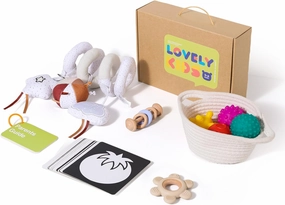 Youuys Montessori Toy Set for Babies 0-6 Months - 5-in-1 Learning Educational Play Kit with Sensory Balls, Spiral Hanging Toys, Teether Rings, Rattle & Vision Cards.