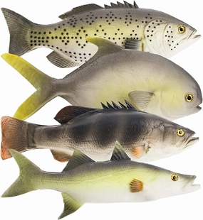 ZENFUN Set of 4 Fake Fish, 11 in Rubber Fishes Plastic Lifelike Sea Fish Set, Pretend Realistic Fake Fishes for Photography Props, Party Display, Kitchen Decor